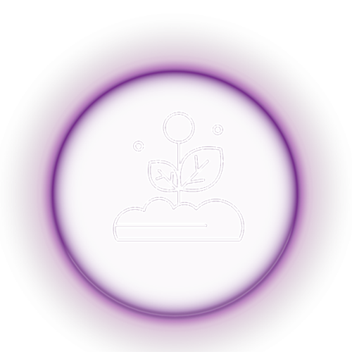 Icon 4